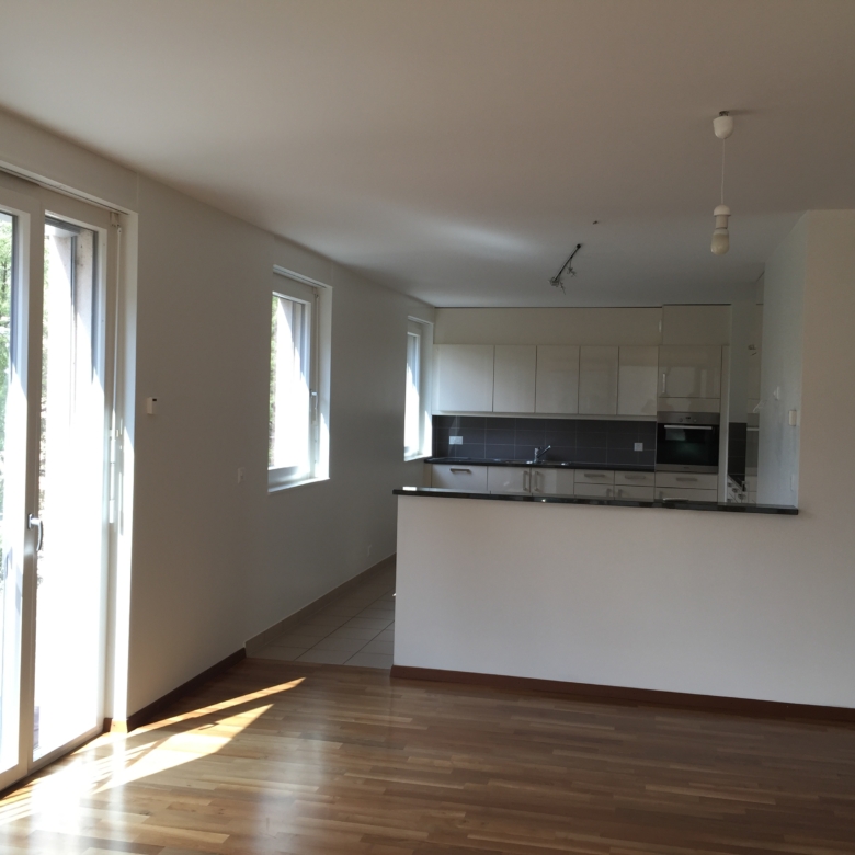 Open-plan kitchen and living area, 6-room apartment, Geneva