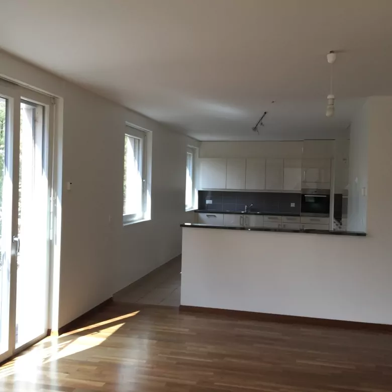 Open-plan kitchen and living area, 6-room apartment, Geneva