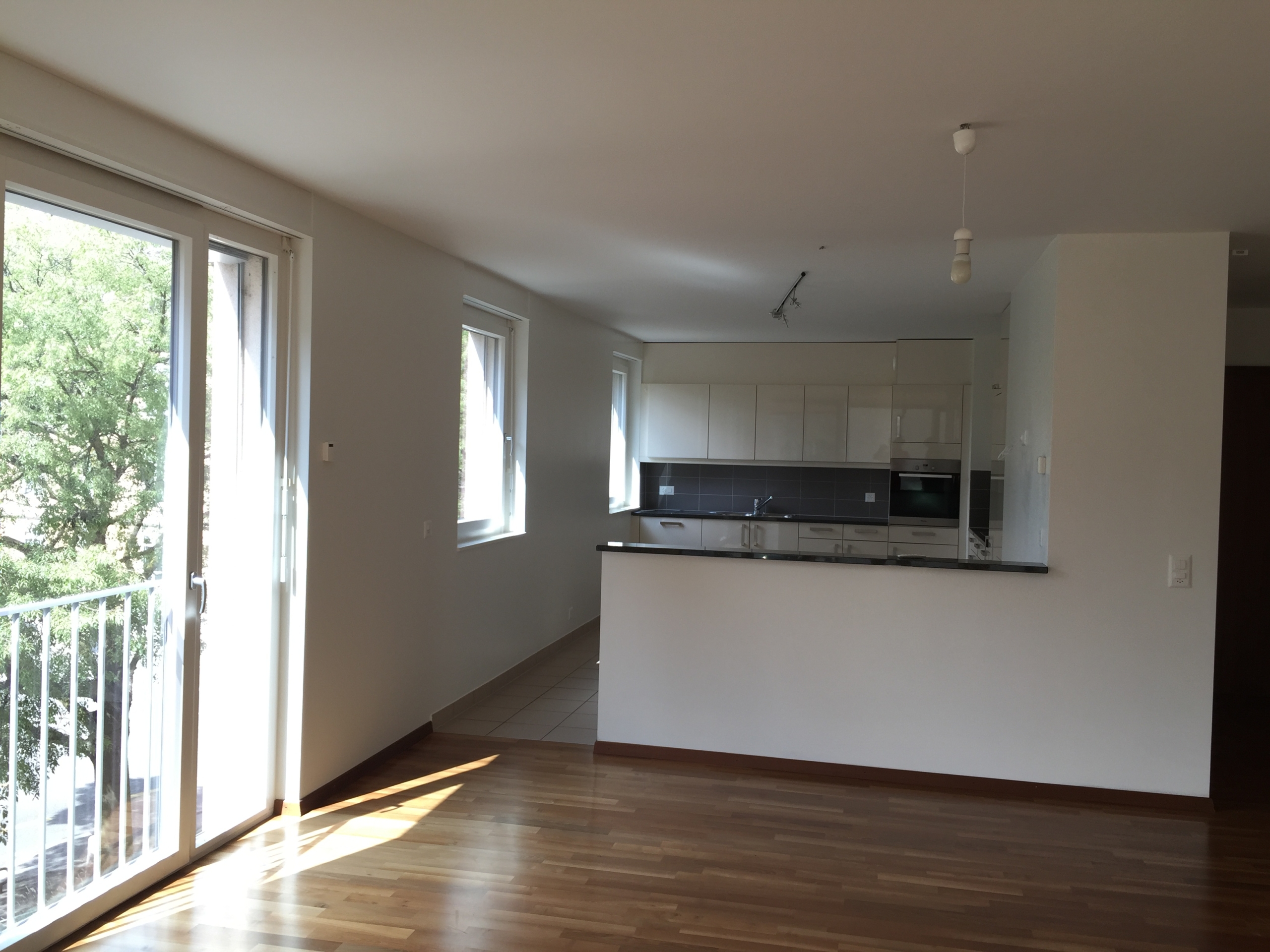 Open-plan kitchen and living area, 6-room apartment, Geneva