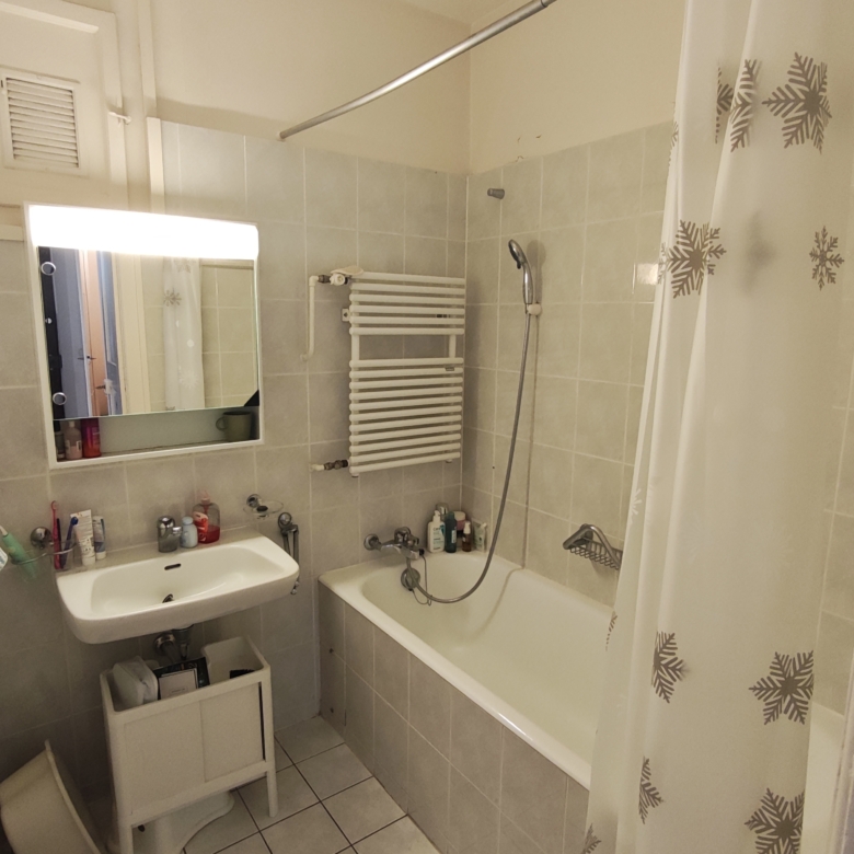 Bathroom, 3-room apartment, 81 Rue de Lausanne, Geneva