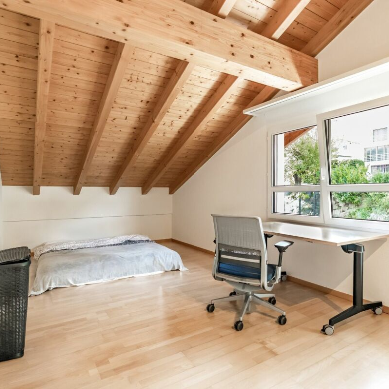 4.5-room mansard apartment with view