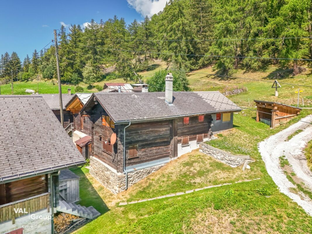 Im Herzen der Natur, in der Ruhe – 3,5-Zimmer-Wohnung in Salwald