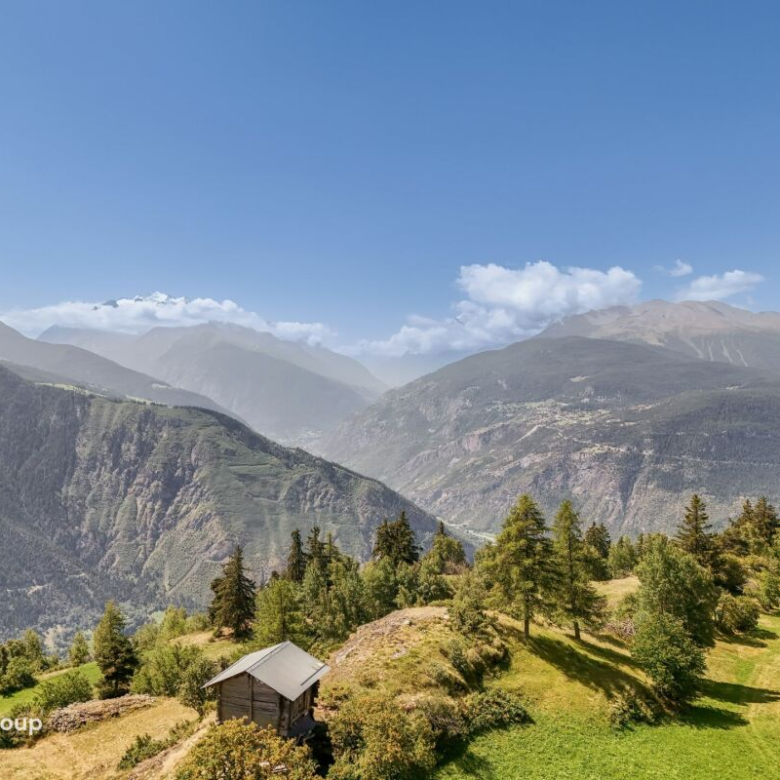 In the heart of nature, in peace – 3.5-room apartment in Salwald