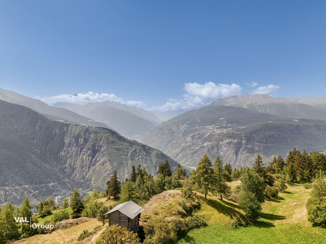 In the heart of nature, in peace – 3.5-room apartment in Salwald