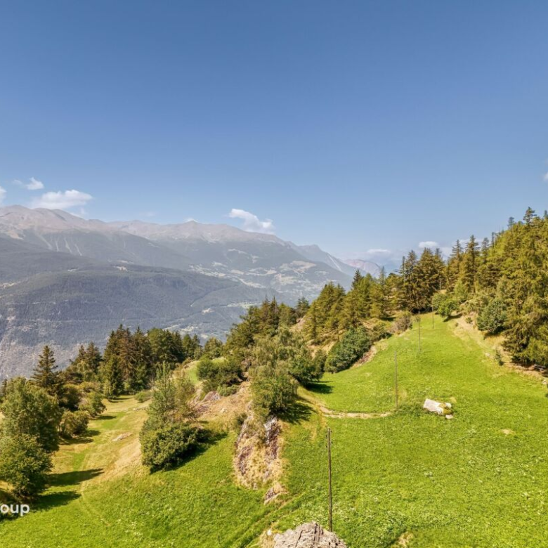 In the heart of nature, in peace – 3.5-room apartment in Salwald