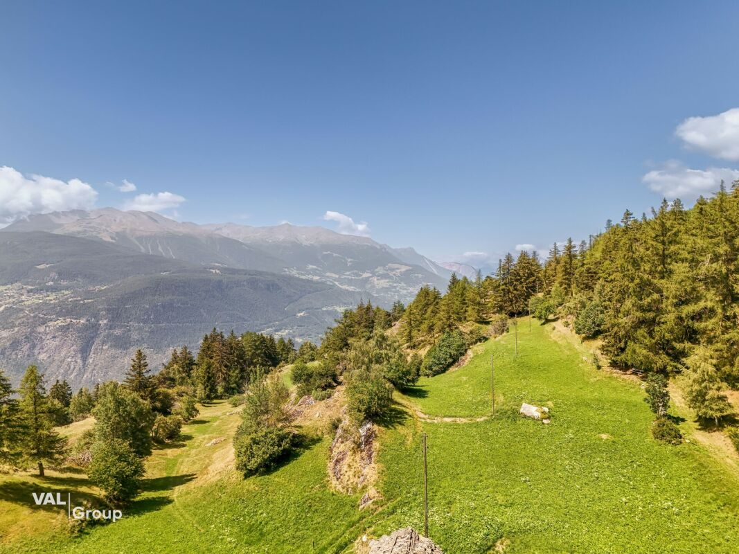 In the heart of nature, in peace – 3.5-room apartment in Salwald