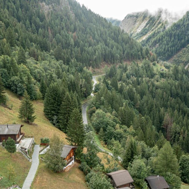 Geräumiges Gebäude in grüner Umgebung