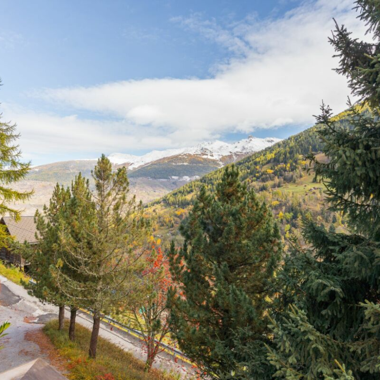 Charmantes Chalet im Val d'Hérens
