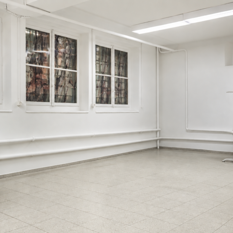 Multipurpose premises located in the heart of Brig