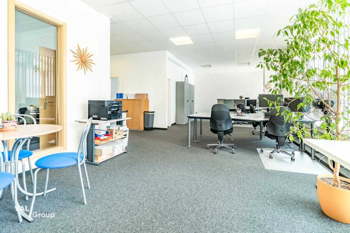 Ein vielseitiges Gewerbelokal im Herzen von Steg: Hier finden Ihre Ideen ihren Platz!