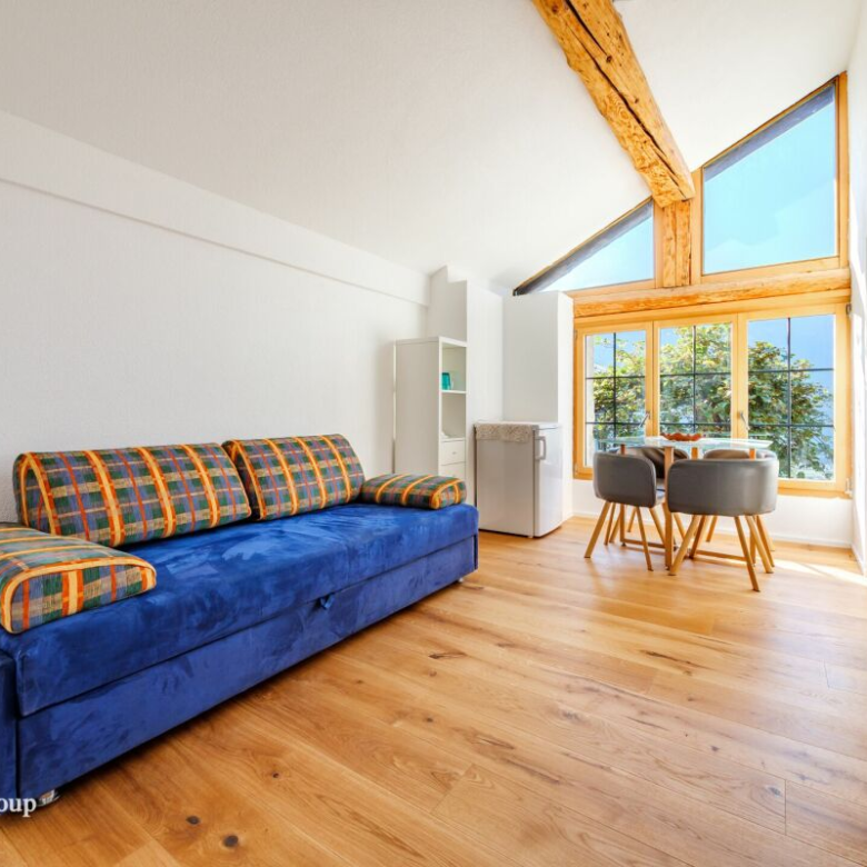 Eine einzigartige Gelegenheit: Haus mit zwei unabhängigen Wohnungen (5,5 und 2,5 Zimmer)