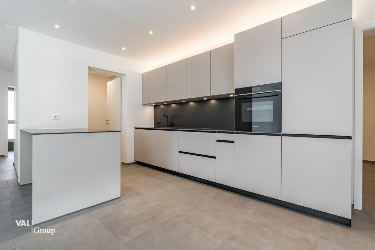A modern and spacious dream house