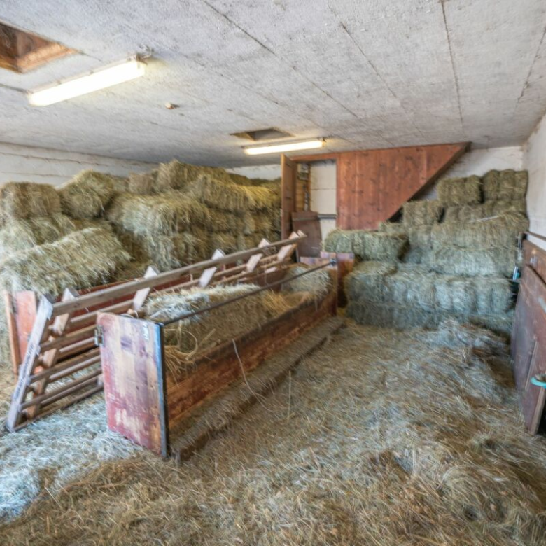 Stable, barn and garage in a pleasant setting
