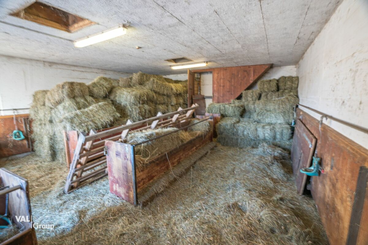 Stable, barn and garage in a pleasant setting